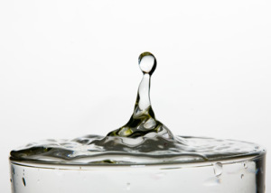 qualité de l'eau